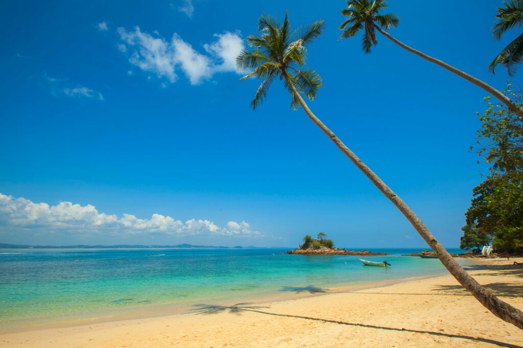 Best Tourism Palace In Goa 